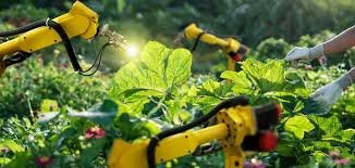 Agriculture & Farming