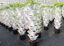 Hydroponic Farming Equipment